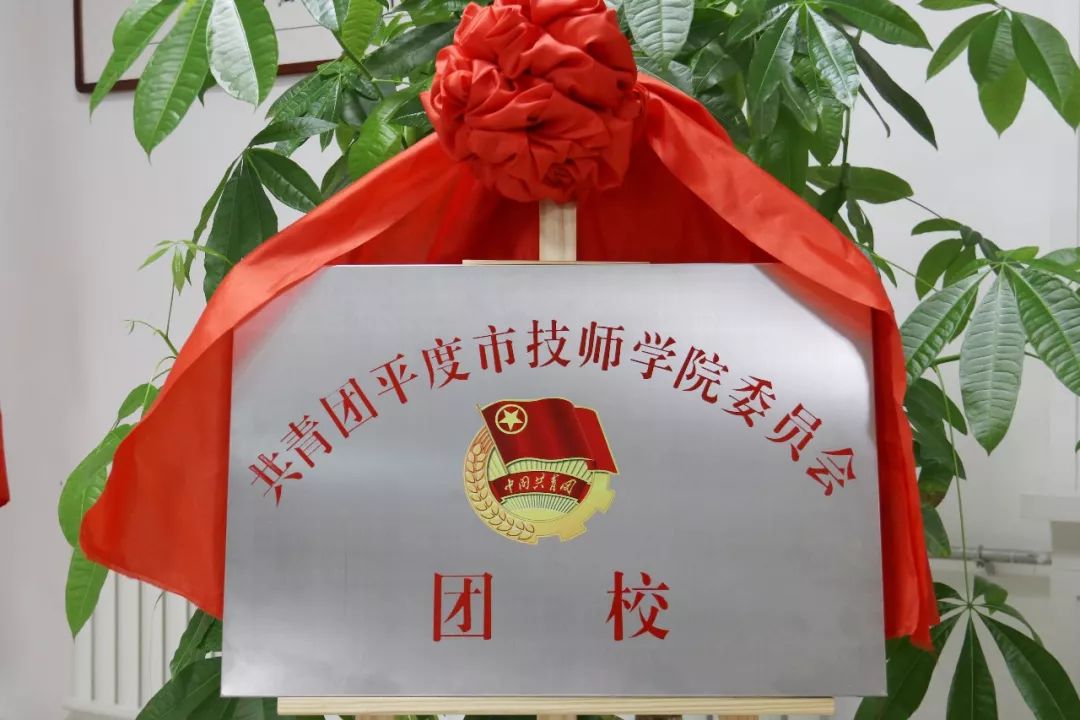 【不忘初心,高举团旗】平度市技师学院团校成立大会暨揭牌仪式隆重
