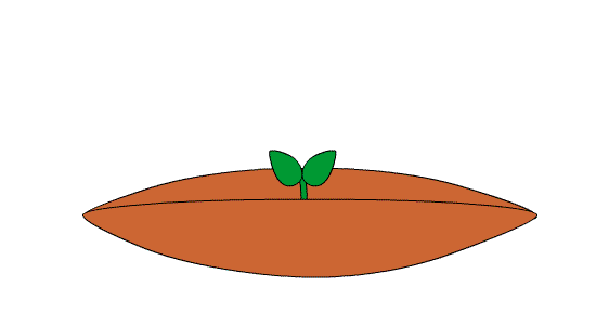 550_300gif 动态图 动图