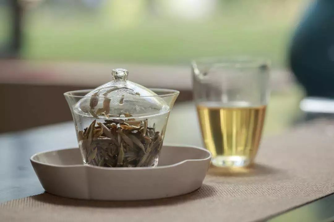 评茶达人白茶篇丨白茶怎么泡好喝