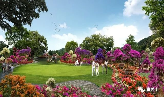 巾花,增加趣味文化,打造形象景观主轴线,时空花廊,浪漫花园,生命花树