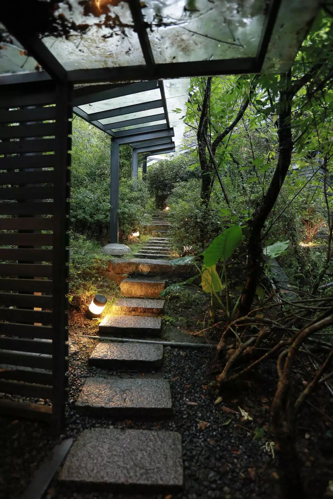 游学直击雨观食养山房夜眺101大厦