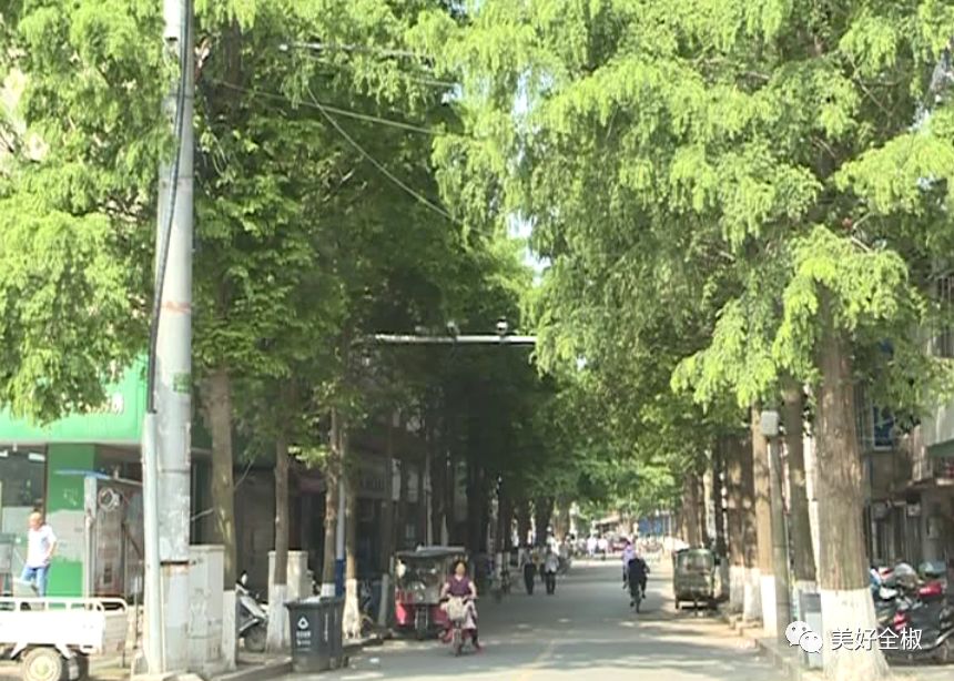 以前全椒这条脏乱差的区域,现在实现美丽蜕变!_果园路