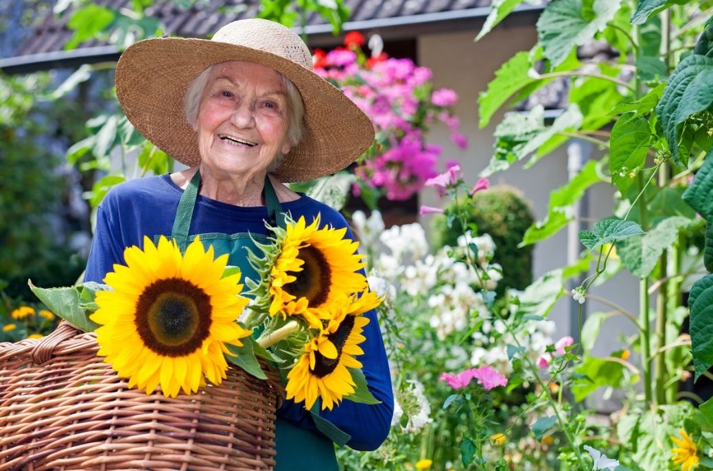 听说喜欢养花的人更长寿是真的吗