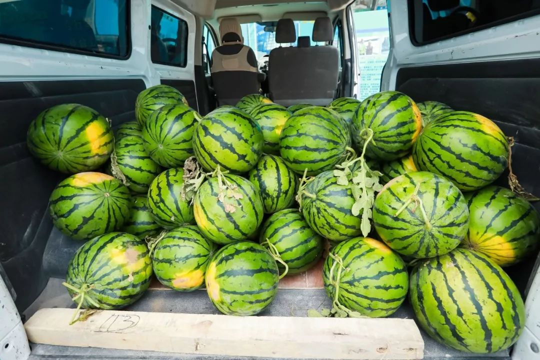 给丽泽soho工地的朋友们送了车西瓜外潘石屹还干了件贴心事