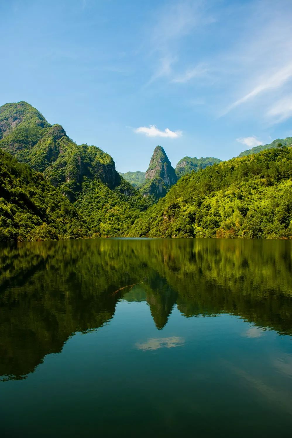 青田你是如此秀色可餐
