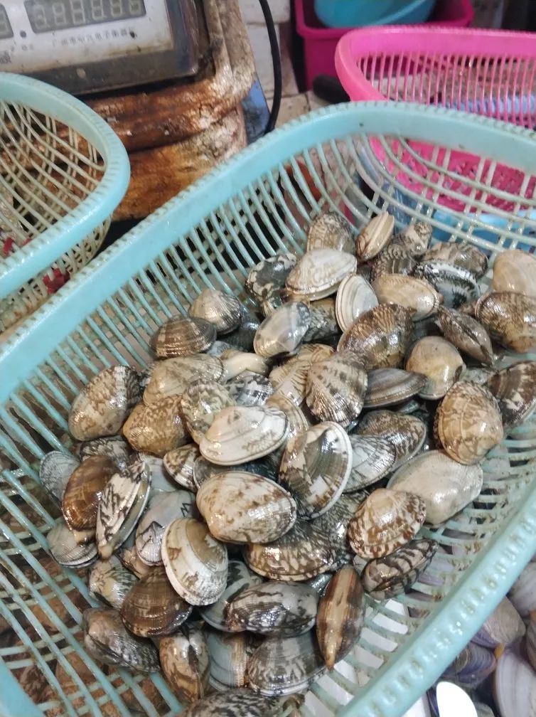 洗花甲别再焯水了多加这个动作花甲自动吐沙