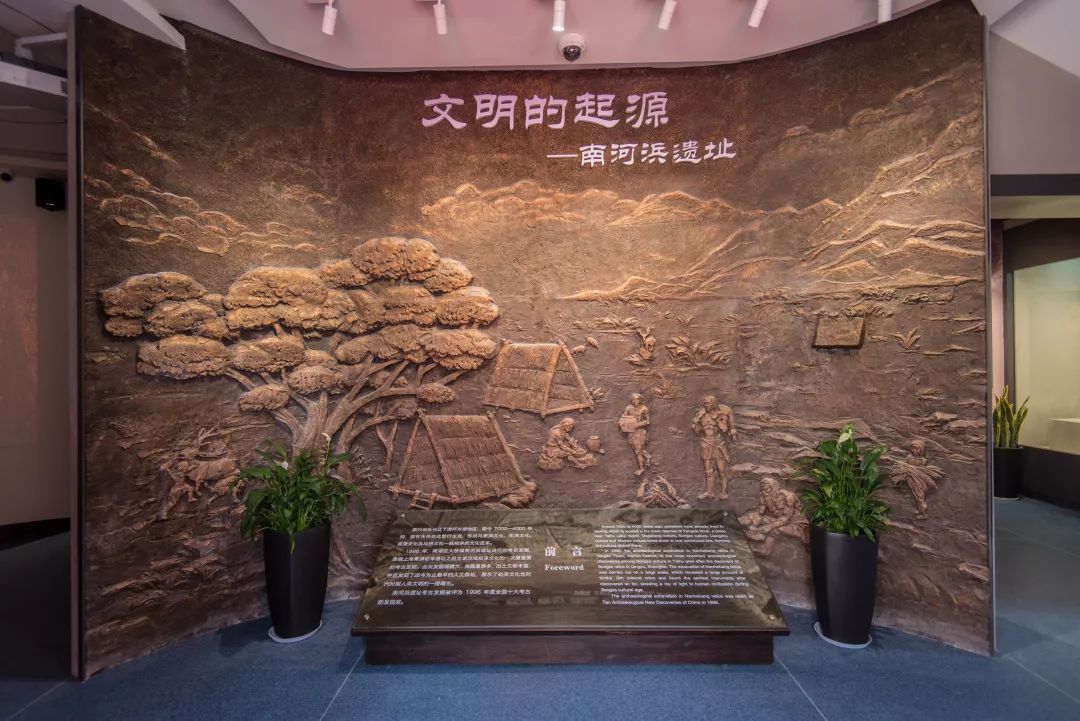 这个会议很有料南河浜遗址学术研讨会顺利召开