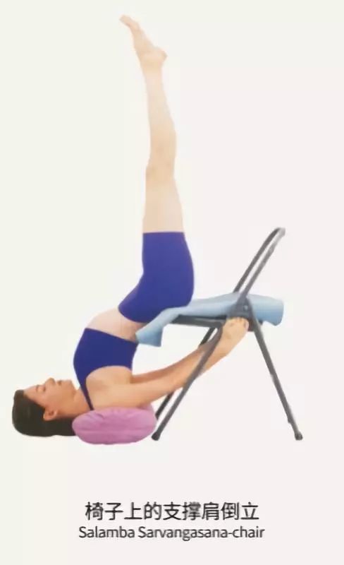 椅子上的头部有支撑的dvi pada viparita dandasana(倒手杖式或双腿内