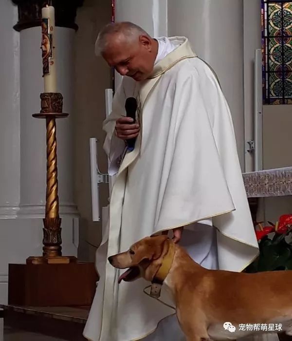 狗狗闯进教堂,玩神父的白袍,神父的举动令人暖心