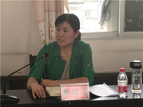 杨彦芳一行深入古阳镇调研指导工作