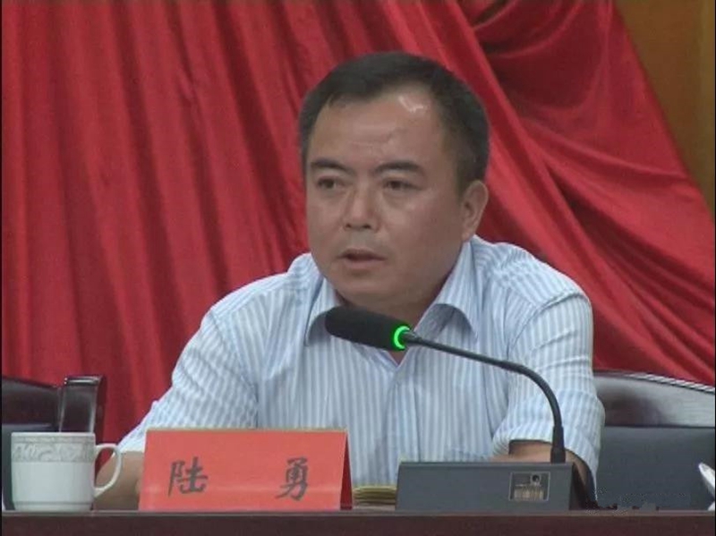 图为县委副书记,县长陆勇作讲话