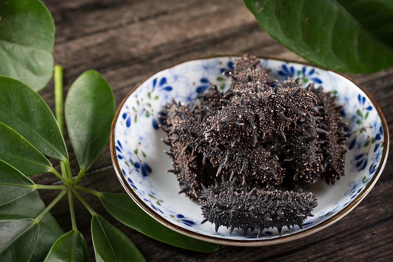 『野生』的价值,你真的懂么?_海参