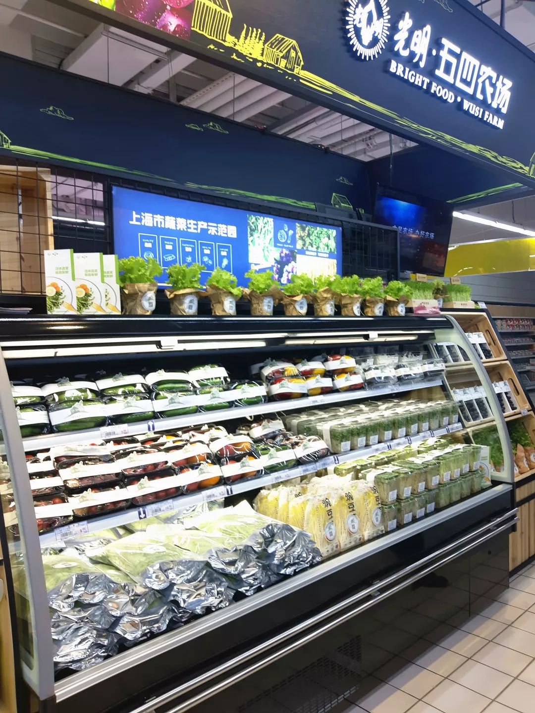 集团董事长是明芳视察农工商118广场五四农产品专柜