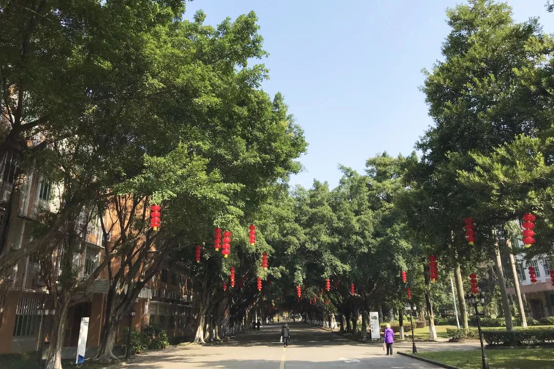 那一年你18岁,遇见广外