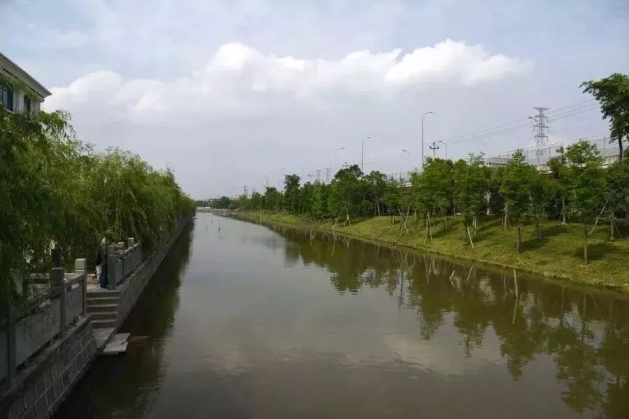 邱隘东雅风景这边独好且看东雅村振兴蓬勃的路径