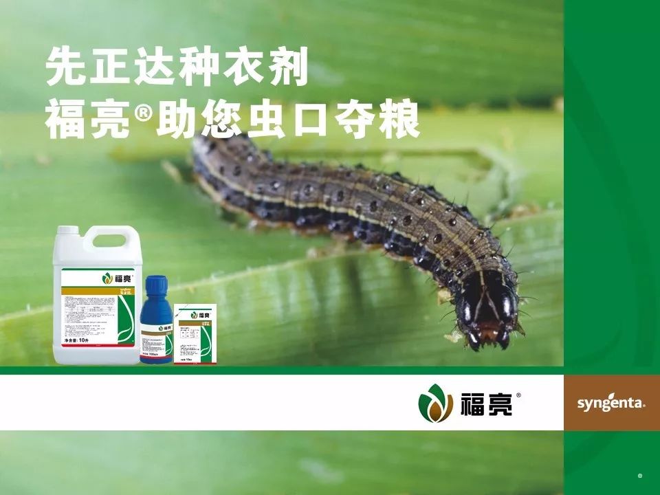 福亮03产品介绍