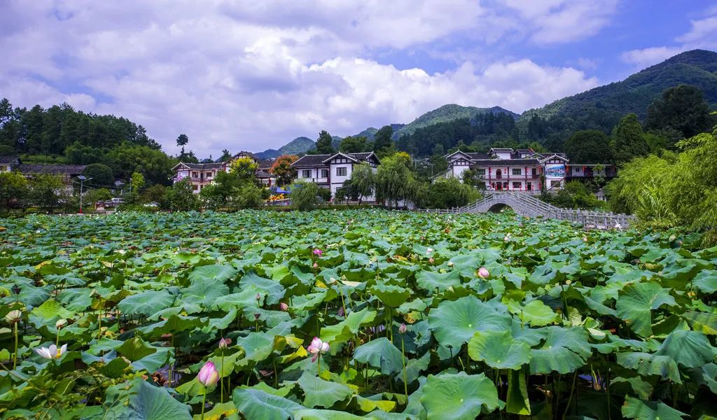 興隆鎮田家溝 作者:駢紅梅蔚藍的天空,碧綠的湖水優美的自然環境一