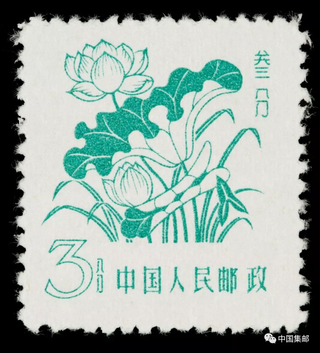 方寸荷花别样红这些荷花邮票您有吗