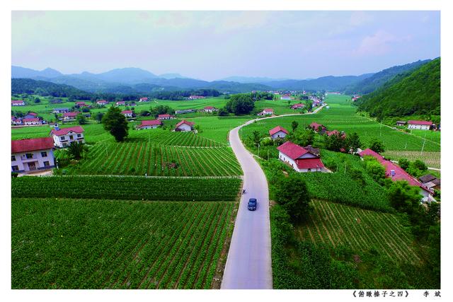 首届"湖北避暑旅游目的地"推介——宜昌榛子乡_兴山县