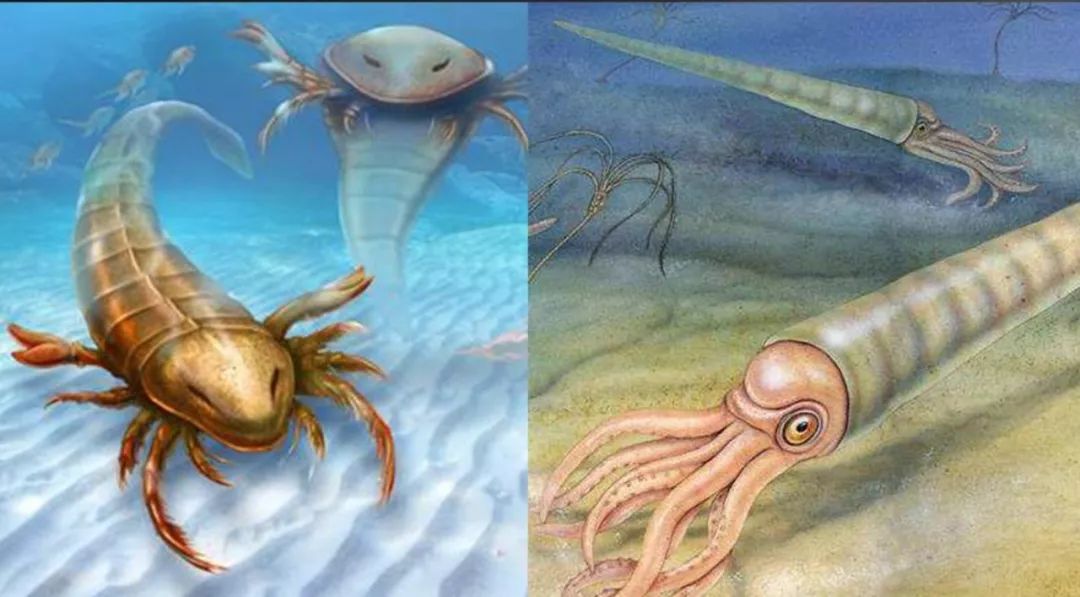 46亿年5次生物大灭绝第6次进行中