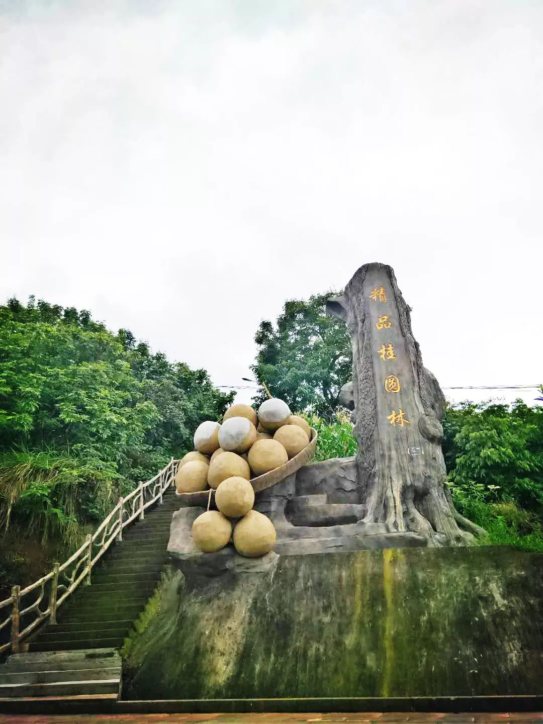 網絡達人鎮街行榮昌清江遊小島摘桂圓住民宿品非遺美食一個有耍事有