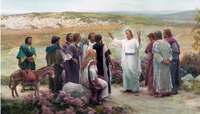 11 西门彼得就去,〔或作上船〕把网拉到岸上,那网满了大鱼,共一百五