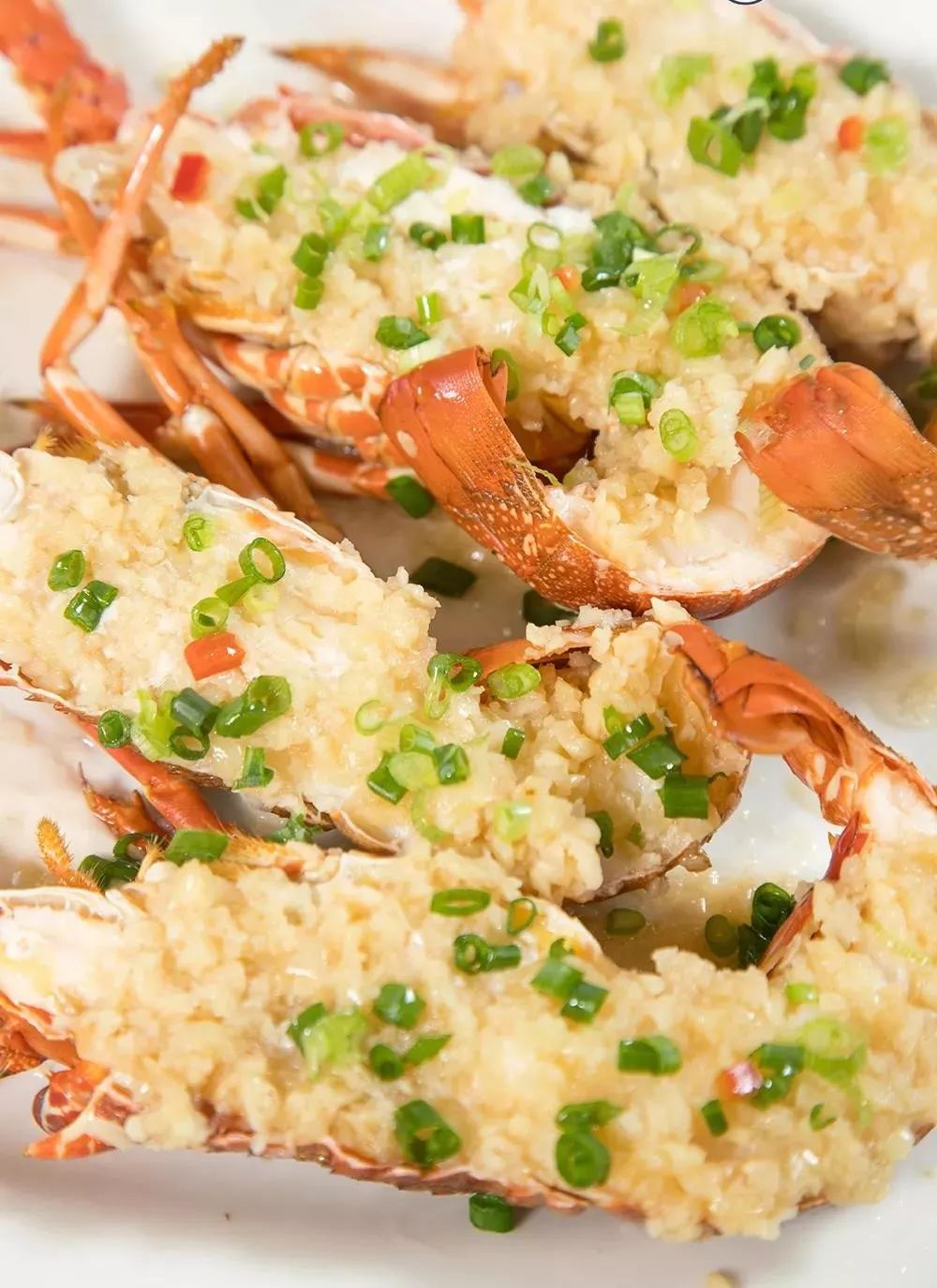 龙虾季夏日最热最潮的美味澳洲青龙仔特价78元起