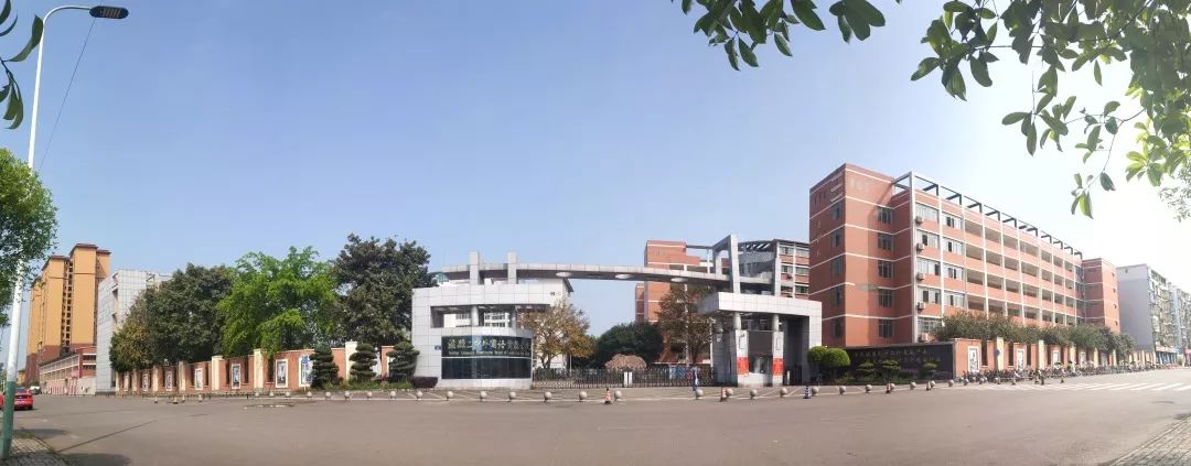 泸二外校友集结令——泸二外校友信息采集表