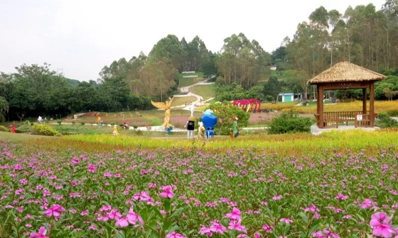 399元抢购原价200元九龙山花仙谷暑期季卡678月无限次畅玩通票内含