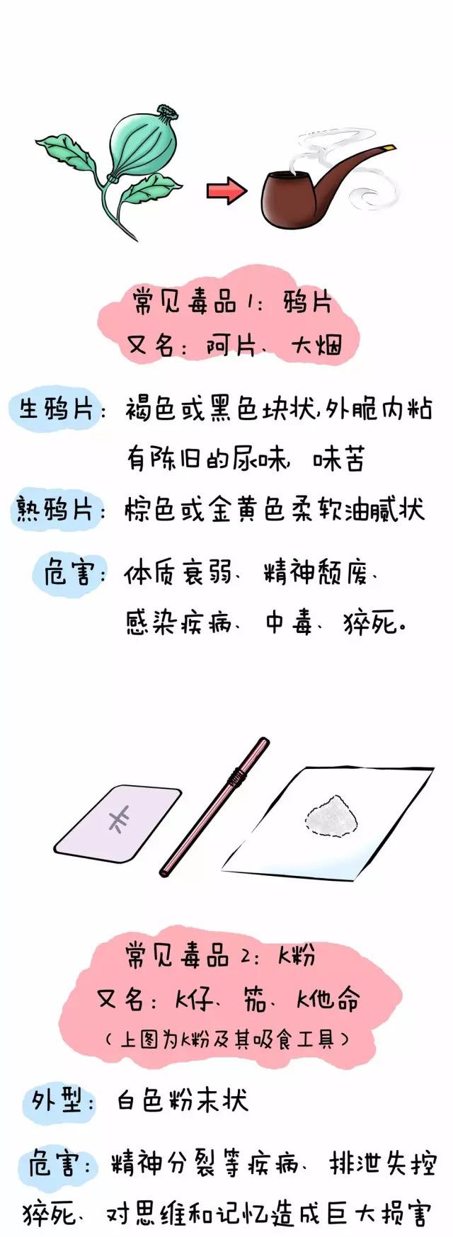 【科普】q版漫画带你轻松学习禁毒知识—你对毒品真的了解吗?