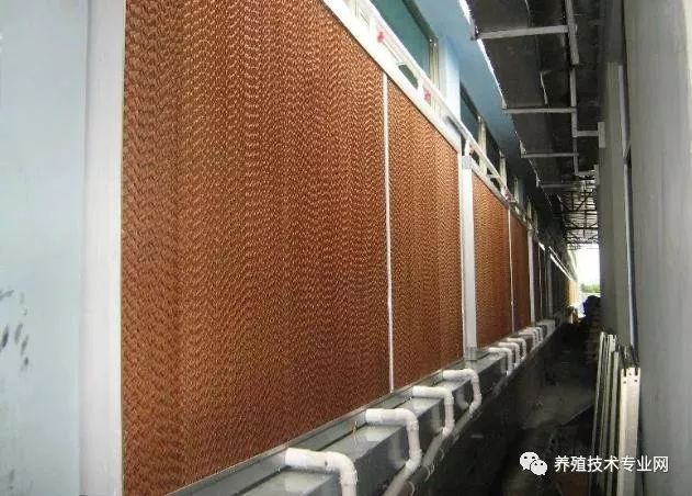 新思维养殖:湿帘详细使用方法和注意事项_鸡舍