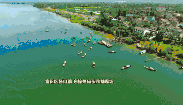 富阳市场口中学教育创新：打造未来学习新生态