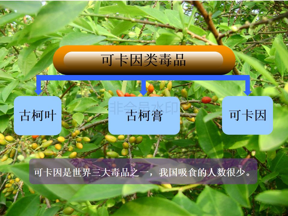 所有人看到这种药片请直接报警它是新型毒品送珍爱生命拒绝毒品ppt117
