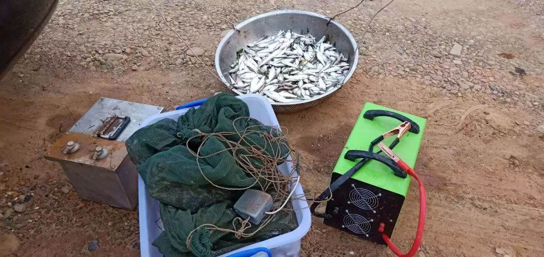 又查获非法电鱼行为5起,桃江禁渔工作不松懈!_捕捞