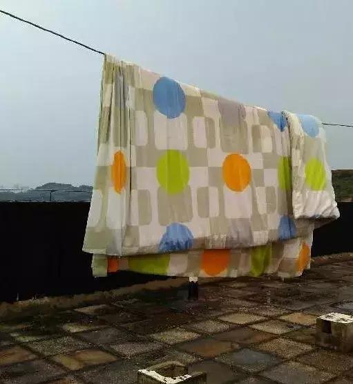 勤晒被子能长猫?武汉大学生晒起被子来满满都是戏