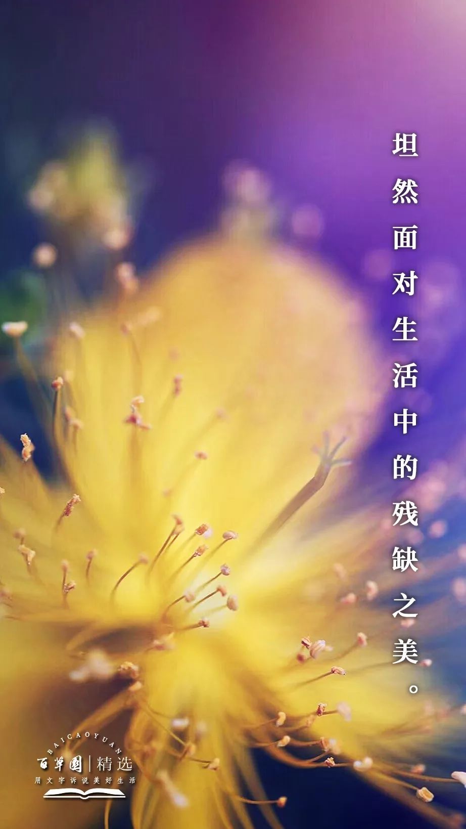 生活禅 | 坦然面对生活中的残缺之美