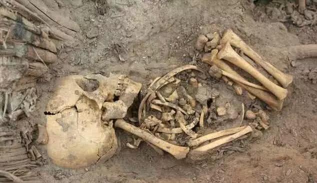 考古队挖开秦始皇女儿墓时,场面令人揪心,专家:胡亥真狠