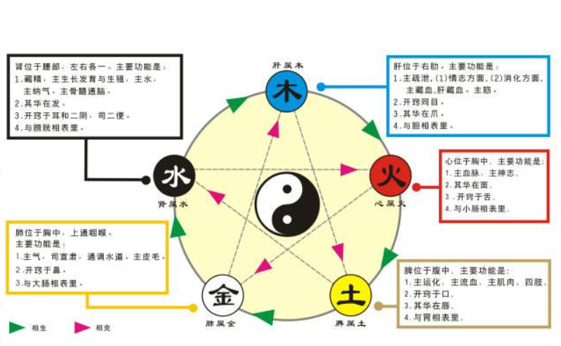 也是阳金,举例,大肠,在中医营养学里 五行属于金,属于阳金,还有一种