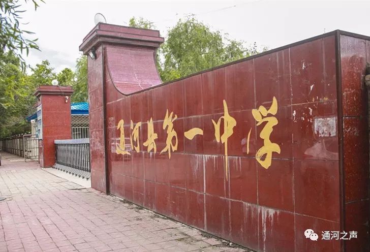 一中那抹神来之笔2019届通河一中理科高考状元