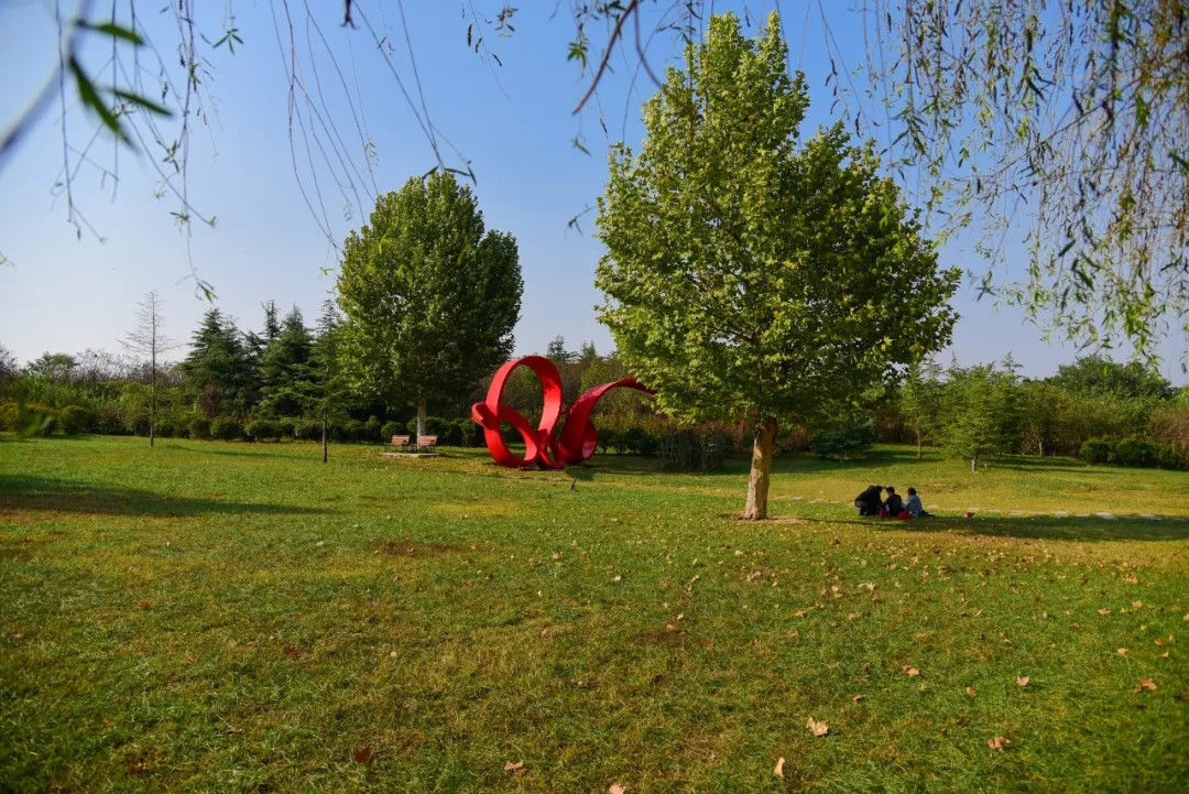 約50665平方米的象棋公園,綠意盪漾;約50餘萬平方米的滎陽植物園,風景