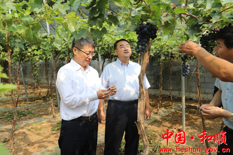 市委副书记尹乃明到我县调研脱贫攻坚工作