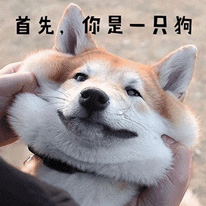 一只狗双手抱胸表情包图片
