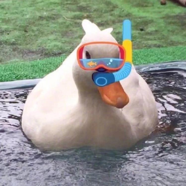 追求者十二星座中哪个星座被异性追求的最多