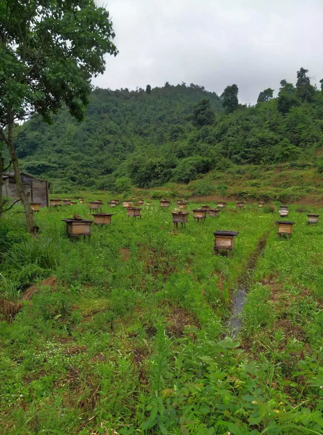赣县长洛乡竟藏着如此仙境!