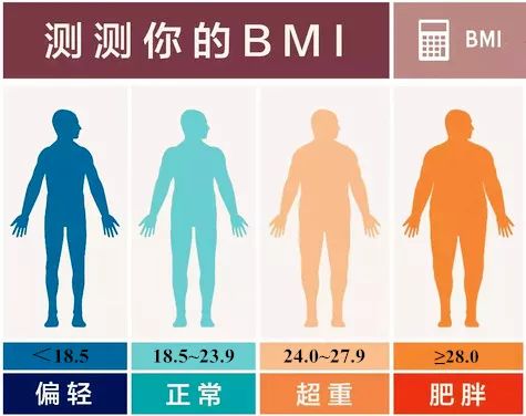 bmi范围-千图网