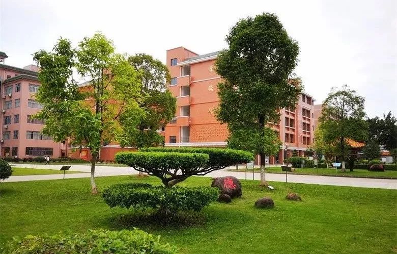 遇见更好的自己兴业高中2019年招生简章