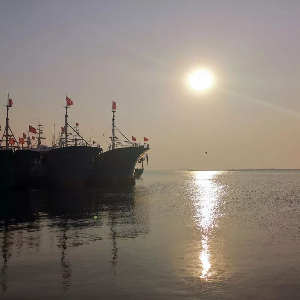 滦河口渔乐园,这个夏天你不能不来