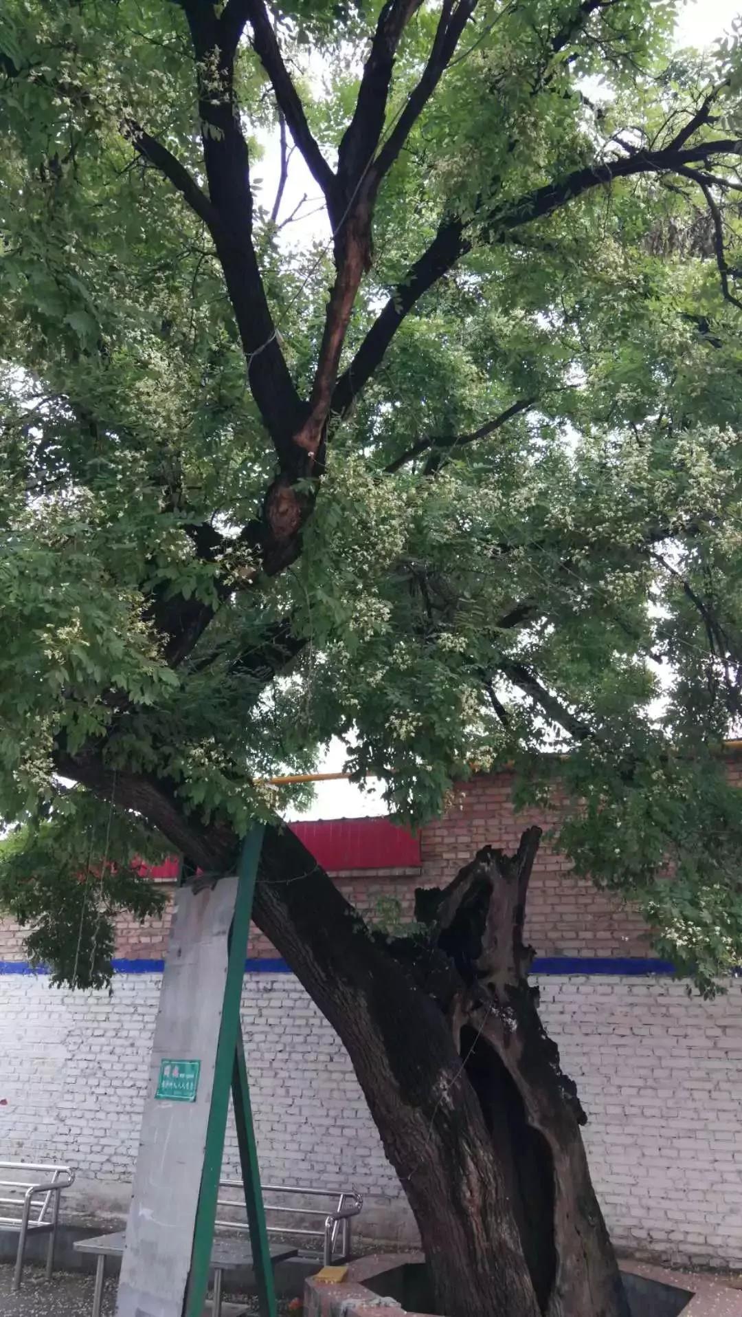 建于北宋时期的徐水古老村庄有你们村吗