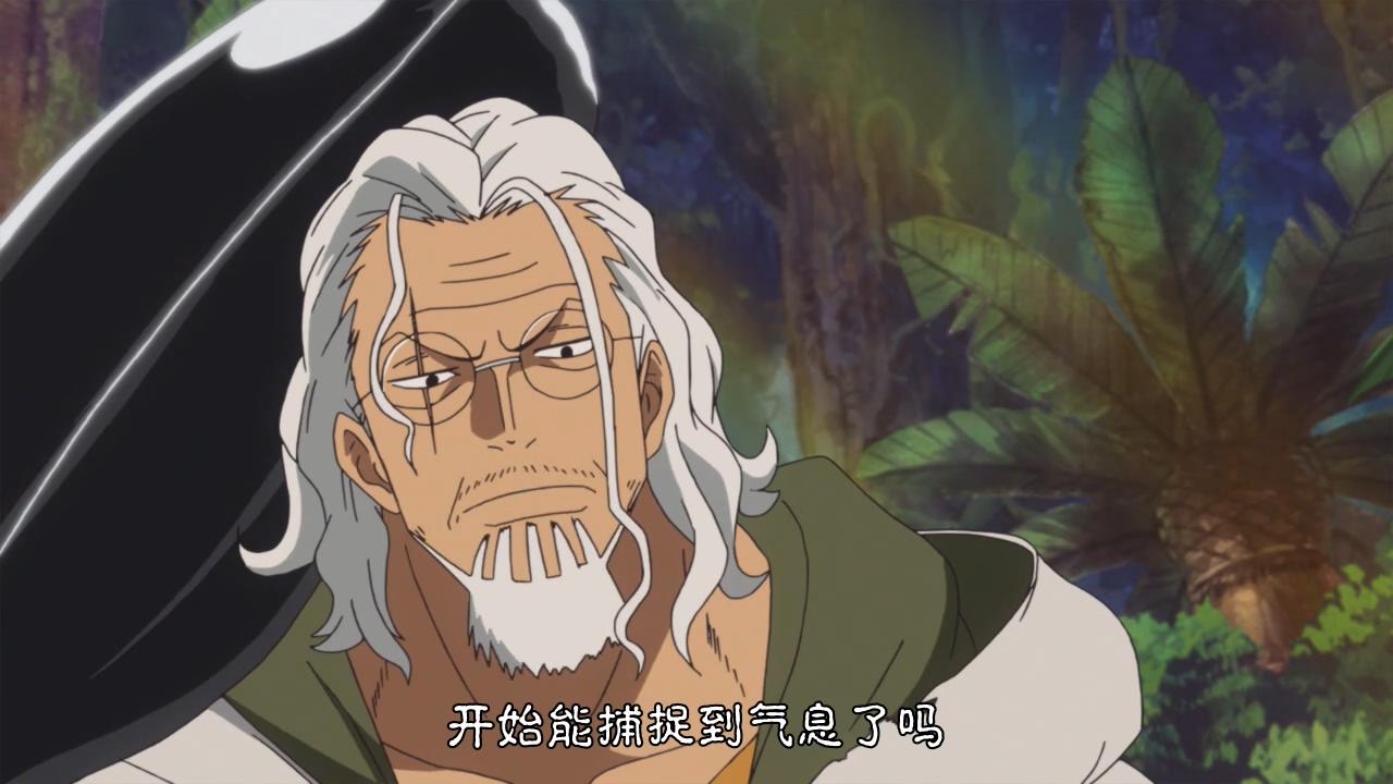 海贼王:罗杰船上有多少个霸王色霸气拥有者呢?_雷利