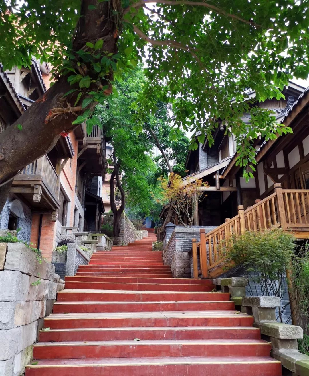 山城观察记:台阶十八步_重庆